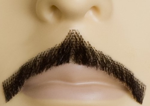 Errol Flynn Moustache