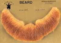 Beard 100% Human Hair Full Character Beard