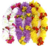 Flower Hawaiian Lei