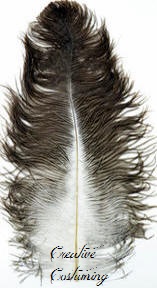 Ostrich Feather Plume Natural