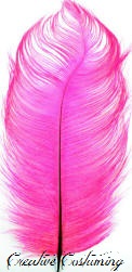 Hot Pink Ostrich Feather Plume