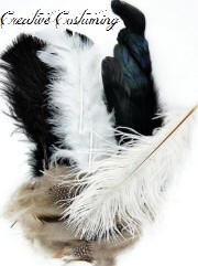 Feather Assortment Black/Whiite/Natural