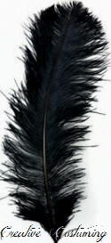 Black Ostrich Plume Ostrich Feather Plume 22"