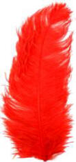 Red Ostrich Plume Ostrich Feather Plume 22"
