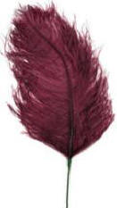 Plum Ostrich Feather Plume 30"