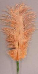 Rust Ostrich Feather Plume 30"