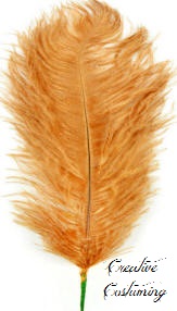 Ostrich Feather Plume Gold