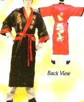 Chinese Robe Costume