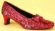 Dorothy Shoes Wizard of Oz Child