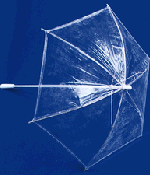 Clear Plastic Parasol