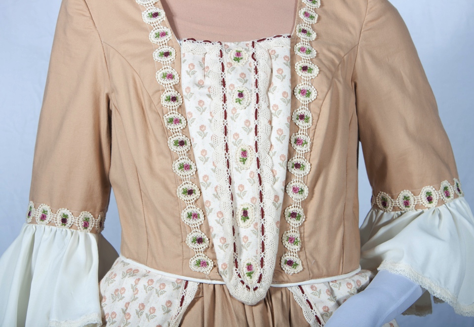 Deluxe Colonial Day Dress Costume 