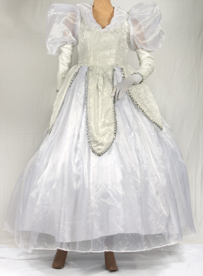 Deluxe Fairy Princess Costume