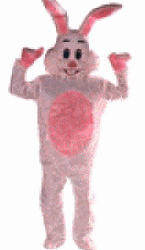 Easter Bunny Rabbit Costume 