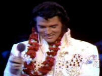 Elvis Presley Costume Elvis Aloha From Hawaii Jumpsuit Aloha Eagle Suit