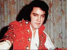 Elvis Costume Elvis “Burning Love” jumpsuit costume