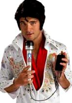 Elvis Microphone