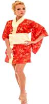 Sexy Female Kimono Costume