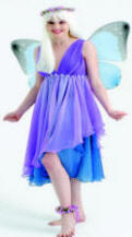 Dream  Fairy Costume 