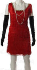 Flapper Dress Costume