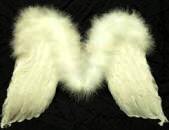 Feather Boa Angel Wings