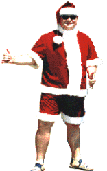 Christmas in July or Sunny Santa Claus Suit Costume
