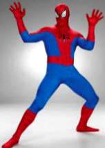 Deluxe Spiderman Costume