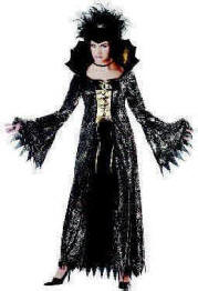 Spiderella Witch Costume