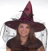 Velvet Witch Hat w/Feathers & Veil