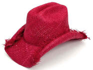 Rolled Brim Rafia Straw Western with Fringe Hat