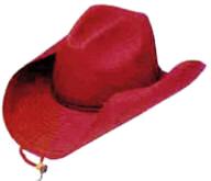 Cowboy Hat Toyo Rolled Brim 