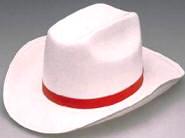 Permafelt Cowboy Hat