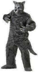 Big Bad Wolf Costume Big Bad Wolf Mascot Costume