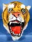 Tiger Mask Costume