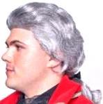 Colonial Man Wig Lordship with bow 