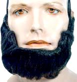 Abe Lincoln Beard