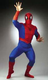 Spiderman Costume