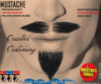 Pirate Moustache & Goatee Set