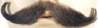 Discount Handlebar Moustache