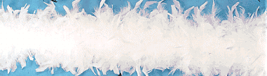 6' Chandelle Feather Boa (60 Gram)