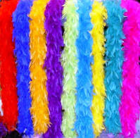 6' Chandelle Feather Boa (65 Gram)