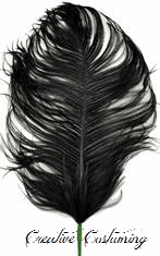 Black Ostrich Feather Plume