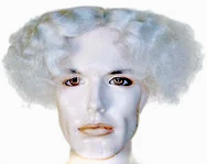 Albert Einstein Wig Set