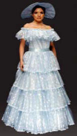 Southern Belle Costume