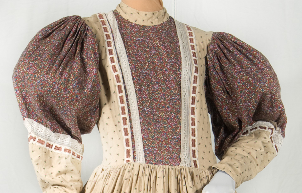 19th Century Day Dres