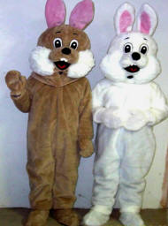 Easter Bunny Costume 