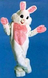 Easter Bunny Costume