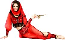 Princess Fatima Costume Harem Girl