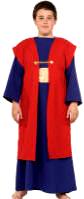 Child Wiseman Costume I