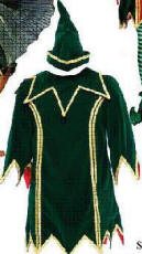 Elf Costume or Jester Costume