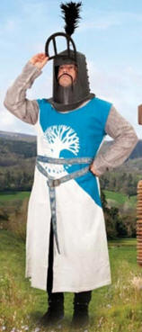 Sir Bedevere Costume